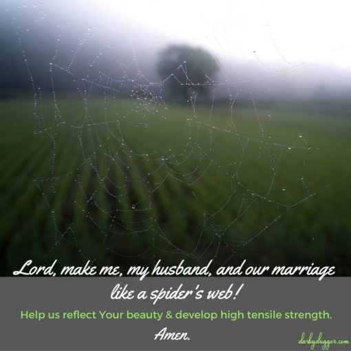 Lord, make me, my husband, and our marriage like a spider's web. Darby Dugger